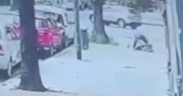 Detuvieron al hombre que derribó de un botellazo a una mujer en Villa Pueyrredon: la golpeó para robarle un celular
