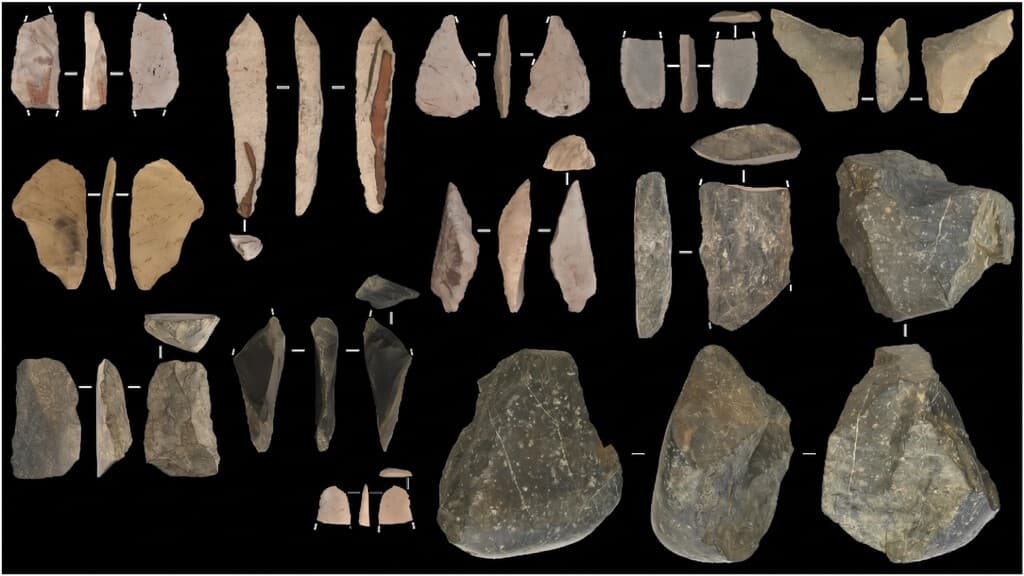 El eslabón perdido de Beringia: los cazadores de bisontes que cruzaron de Asia a América hace 13.800 años