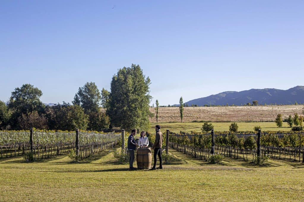 “Destino Brindis” debuta este martes: un viaje por Córdoba entre paisajes, sabores y vinos
