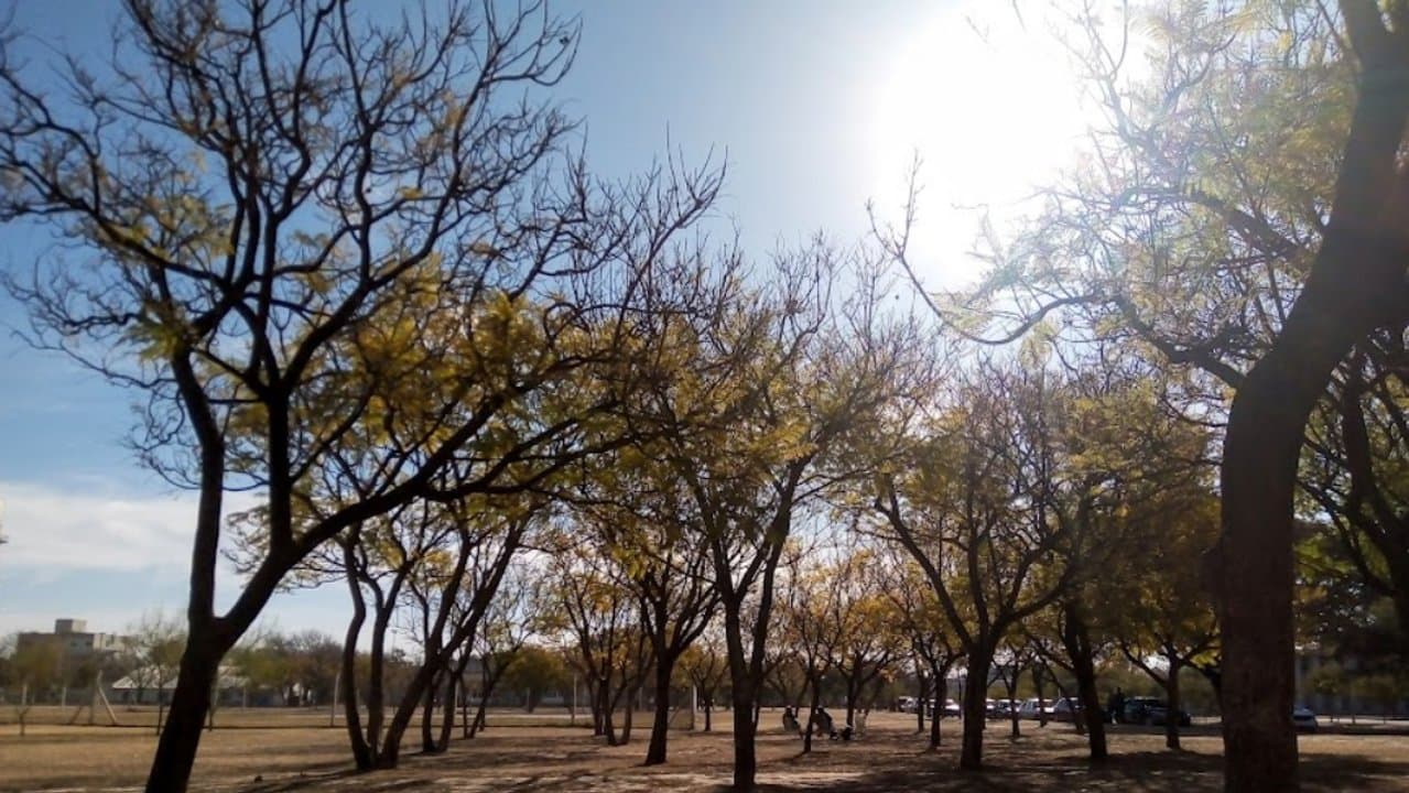 El tiempo: en un ameno miércoles, sube la temperatura en Córdoba