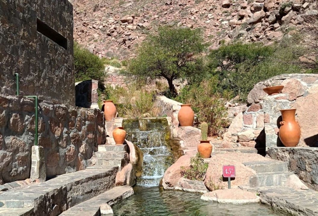 Ameba “come cerebros”: ¿De qué se trata la infección que causó la muerte de un niño en Catamarca?