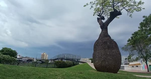 Advierten por tormentas y ráfagas para la noche del jueves