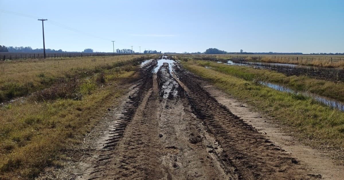 Productores bonaerenses recurrieron a la Justicia para conocer cuánto se recauda y cuánto se gasta en caminos rurales