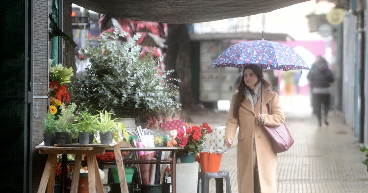La Primavera comienza con una alerta por vientos fuertes: cómo sigue el clima y cuándo sube la temperatura