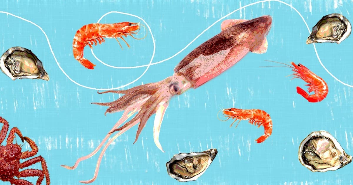 Omega-3, minerales y vitaminas: el valor nutricional oculto de un alimento que en Argentina consumimos muy poco