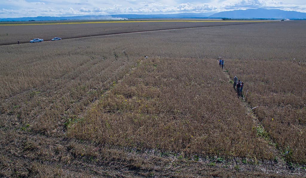 El futuro del agro puede estar en microorganismos que llevan millones de años en el suelo