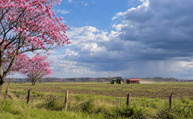 Pronóstico semanal. La primavera llega con un “veranito”: más de 30°C y probables lluvias en Córdoba