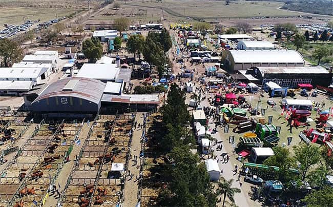 Expo Rural de Jesús María. Días y horarios: actividades, juras y remates de bovinos, ovinos y equinos