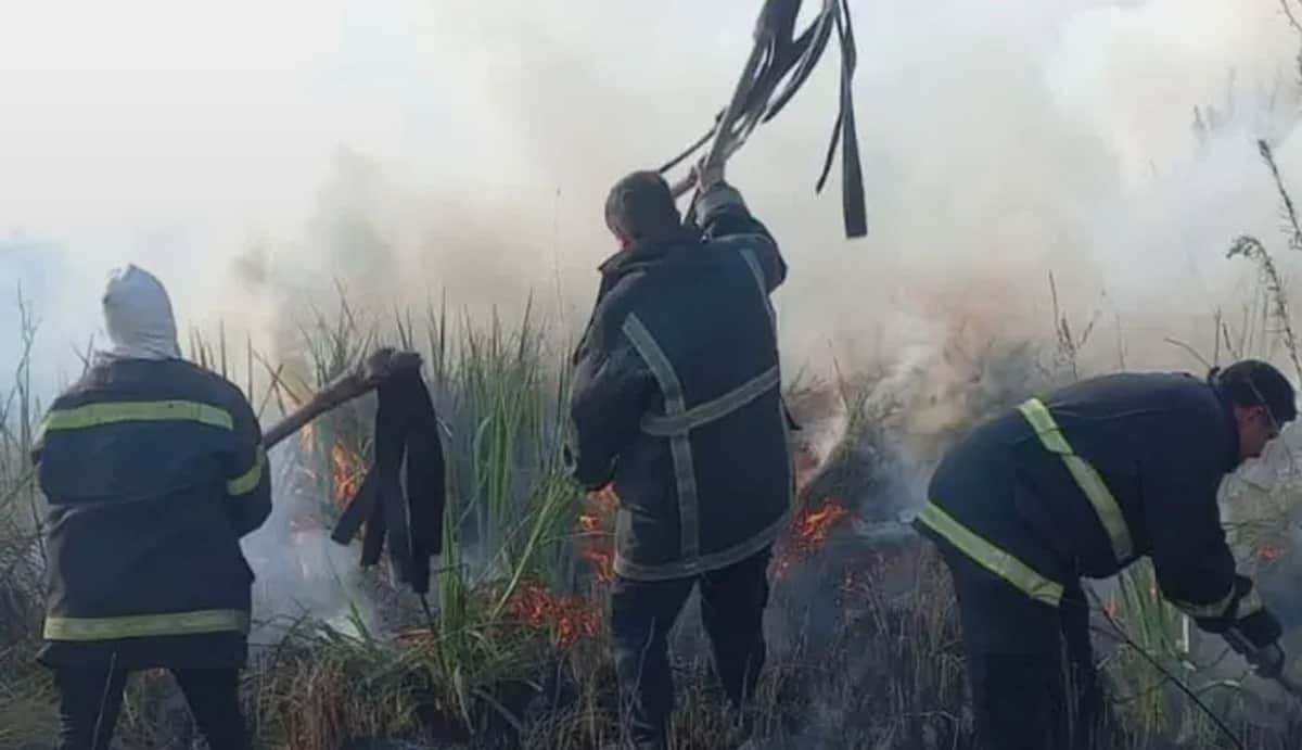 Passalacqua bajo alerta: casi 80 hectáreas ardieron en cinco puntos de Misiones