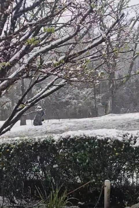 Nevó en Córdoba: las Altas Cumbres y varias localidades se cubrieron de blanco