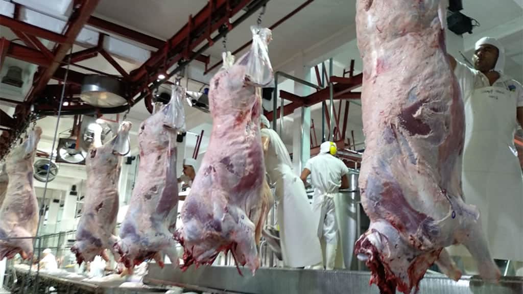 Los números oficiales confirmaron una tendencia muy clara: Mientras se desploma el consumo interno de carne, las exportaciones ya se llevan el 36% de toda la producción