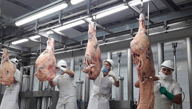 La crisis de los frigoríficos de consumo se profundiza: Llevan 8 meses perdiendo plata y comenzaron los despidos de personal