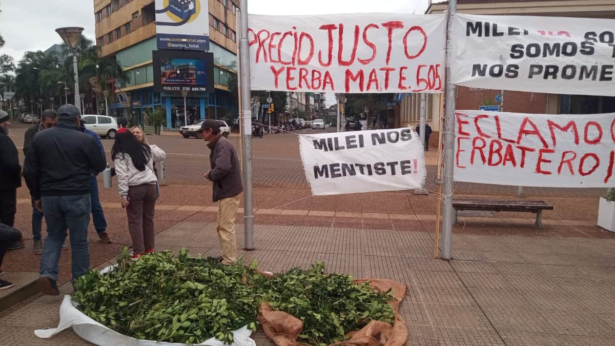 Los yerbateros misioneros aumentan la presión y reclaman a Diputados que rechace el DNU 70/2023: Según dicen, “serán infames traidores a la patria” quienes no lo hagan