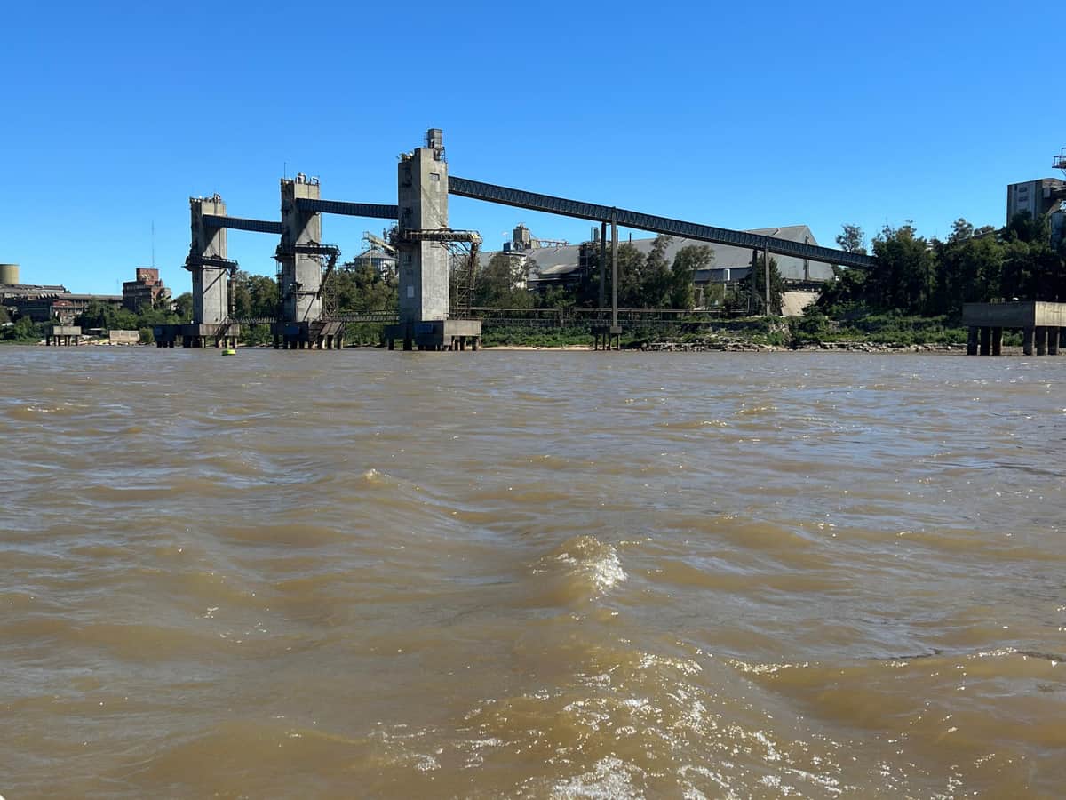 “La incertidumbre no necesariamente juega en contra”: Según el director del INAI, Maximiliano Moreno, el caos del comercio mundial puede convertirse en una oportunidad para Argentina