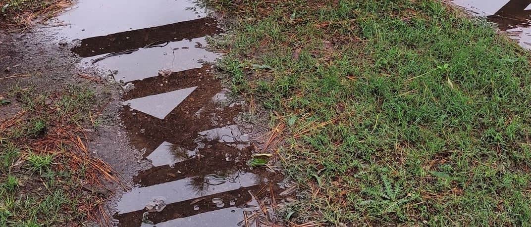 Sobre llovido, mojado: El pronóstico de los expertos de la Fauba para el arranque de la campaña gruesa en medio de un Niño intenso