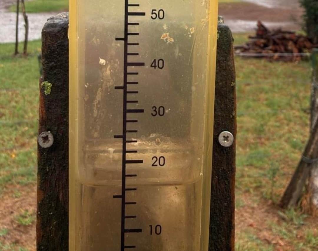 El riesgo climático salió del lote: Según una experta, lo que ocurra en los pluviómetros hora también puede encarecer el seguro y el crédito