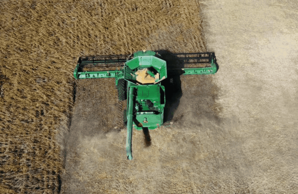 Rebelde: La agroindustria argentina incrementó sus exportaciones, pero la soja dejó de ser el motor de ese crecimiento
