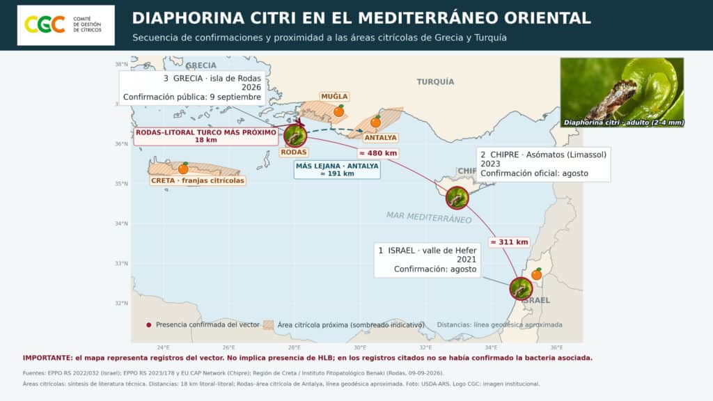 La chicharrita de los cítricos, el vector de la temible HLB, anda dando vuelta por el Mediterráneo: Apareció en la isla de Rodas, justo enfrente de la zona productiva de Turquía