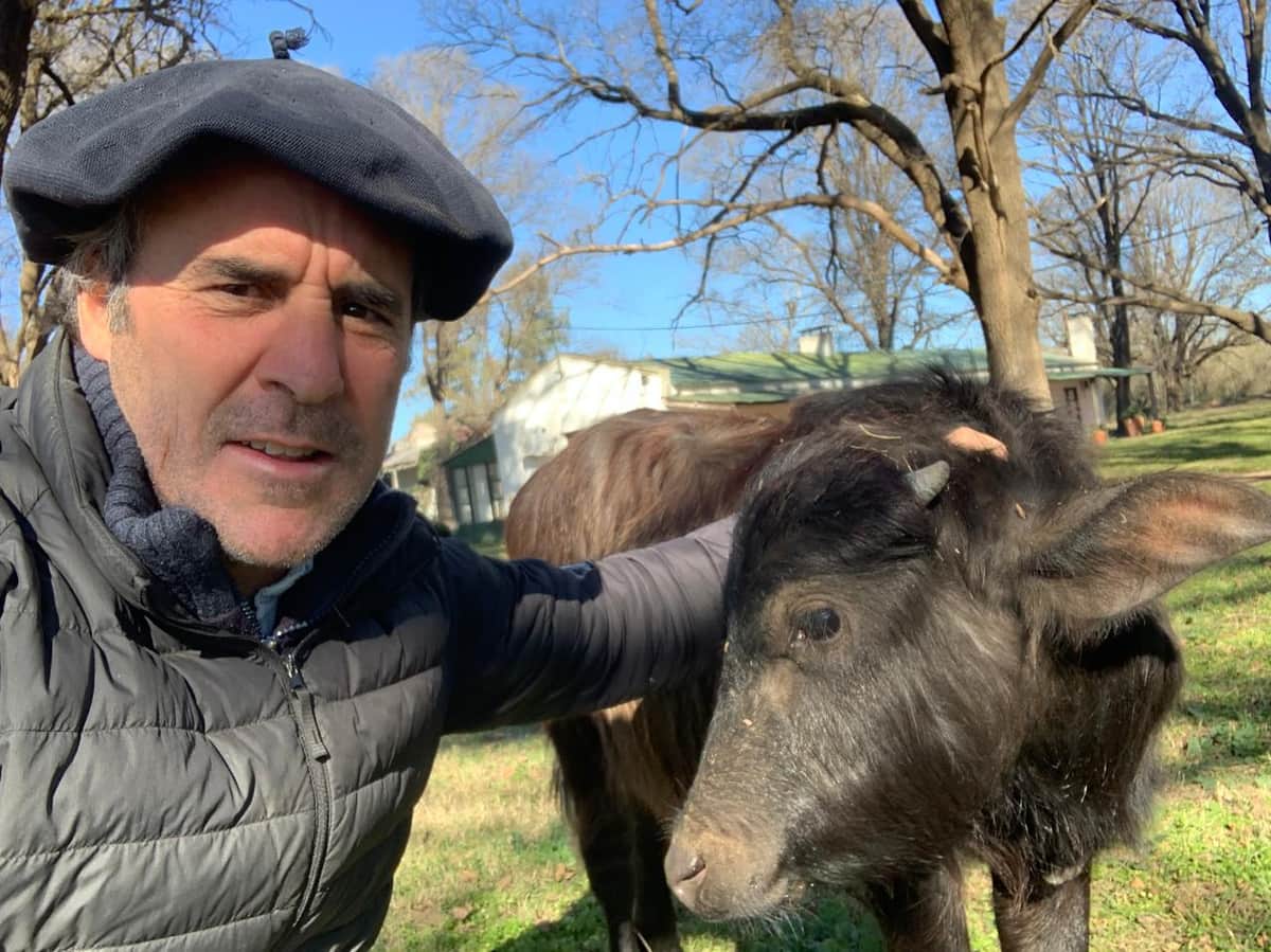 ¿El secreto? “La plata queda en el campo”, señalan desde Compañía General de Hacienda, que maneja 7.000 vientres sobre 70.000 hectáreas de monte y pastizal