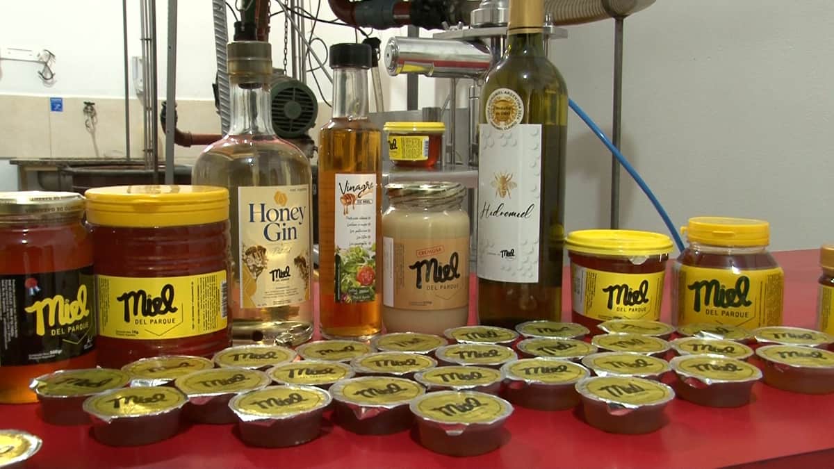 Dejó el taller mecánico por las abejas y terminó haciendo hasta gin con miel: “Tucho” Muñiz explica cómo vivir de la apicultura sin tener 5.000 colmenas