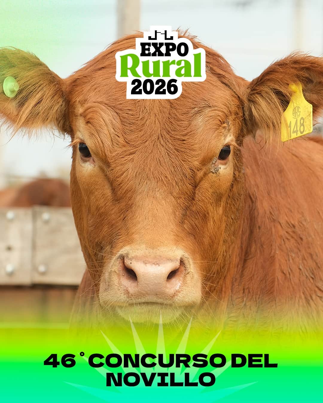 Con la ganadería en alza y el orgullo de ser la “capital del novillo”, Salliqueló ya palpita su Expo Rural
