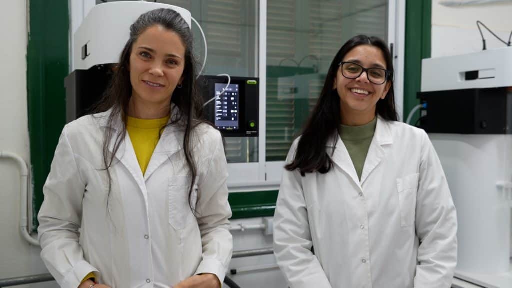 Miel sin pegote: Investigadoras de Córdoba ensayan una tecnología para convertirla en polvo y facilitar su uso en la industria alimentaria