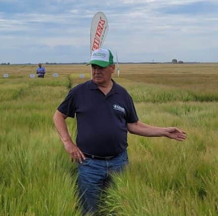 La cebada pierde área y queda obligada a rendir: El especialista Mario Cattaneo advierte que hacen falta hasta 5.000 kilos por hectárea para cubrir los costos