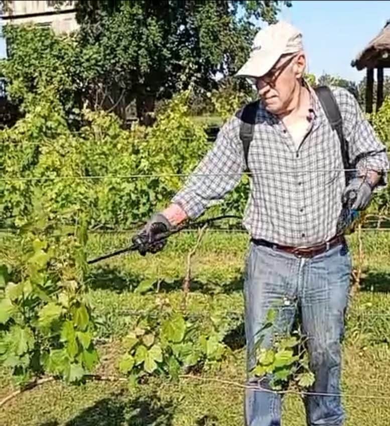 Fernando Cocconi es un ingeniero agrónomo que se ha especializado mucho en el control de las plagas de aves, en especial palomas: “Al desmontar, van a buscar alimento a los cultivos”, advierte