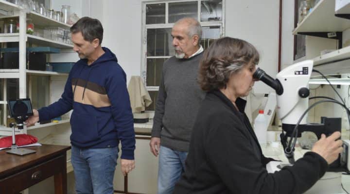 Por una vez, sequías e inundaciones traen buenas noticias: Las estudian como arma contra especies de almejas invasoras que complican el riego y la generación de energía