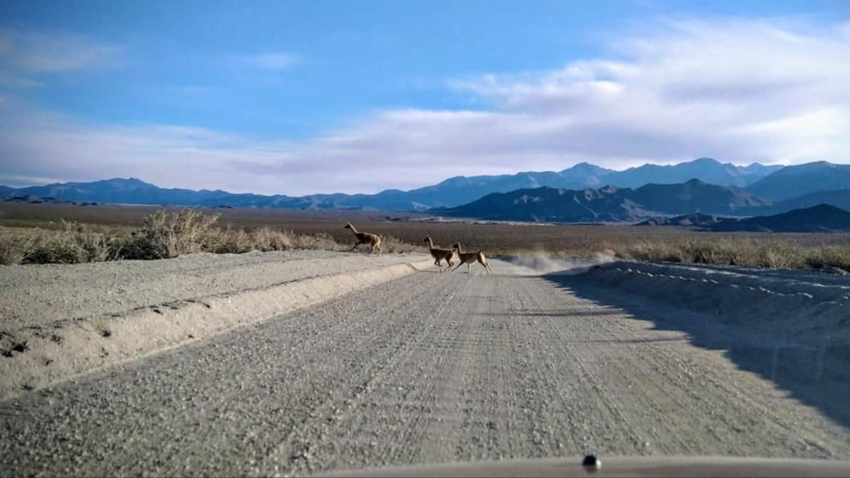 Lo prometen desde los noventa, llegó a tener fondos previstos por el BID, pero nunca vio el asfalto: Cansados de esperar, vecinos de Mendoza y San Juan juntan firmas por apenas 37 kilómetros de una ruta nacional