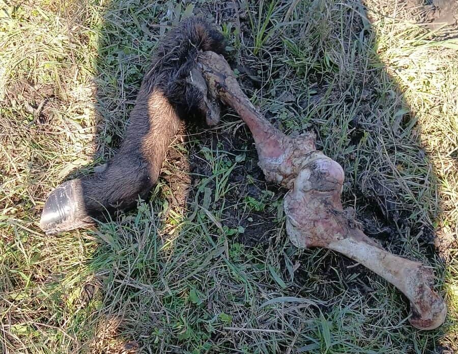 Productores entrerrianos reclamaron drones térmicos, cámaras y respuestas de la Justicia ante el avance del delito rural