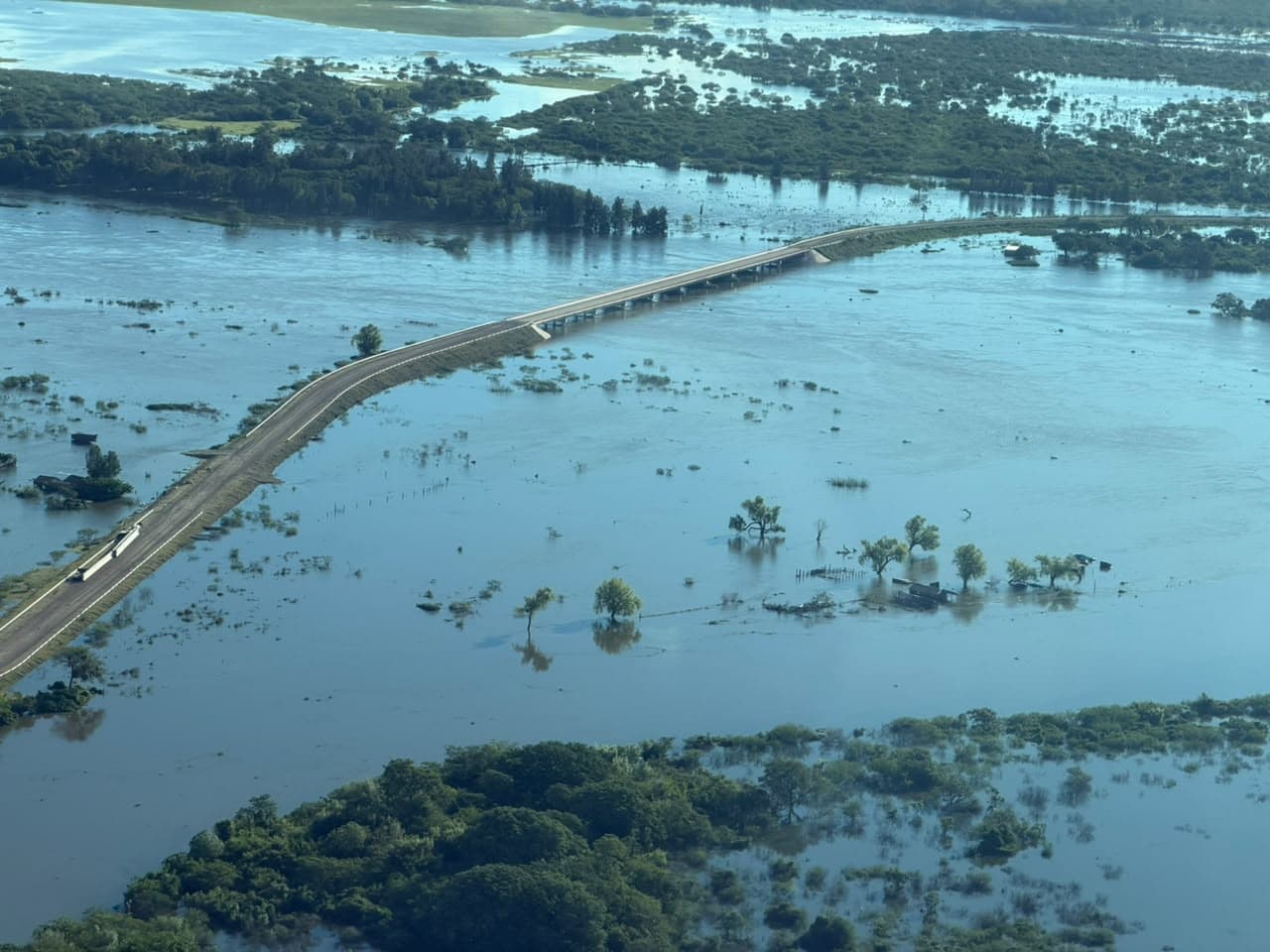 El Niño ya inundó las islas del norte santafesino y crece la preocupación por el futuro de la hacienda y la falta de pasto