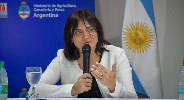 En la investigación forestal hay que saber esperar, pero sin perder el tiempo: María Elena Gauchat lleva casi 30 años trabajando en INTA para conseguir árboles que produzcan más y mejor madera