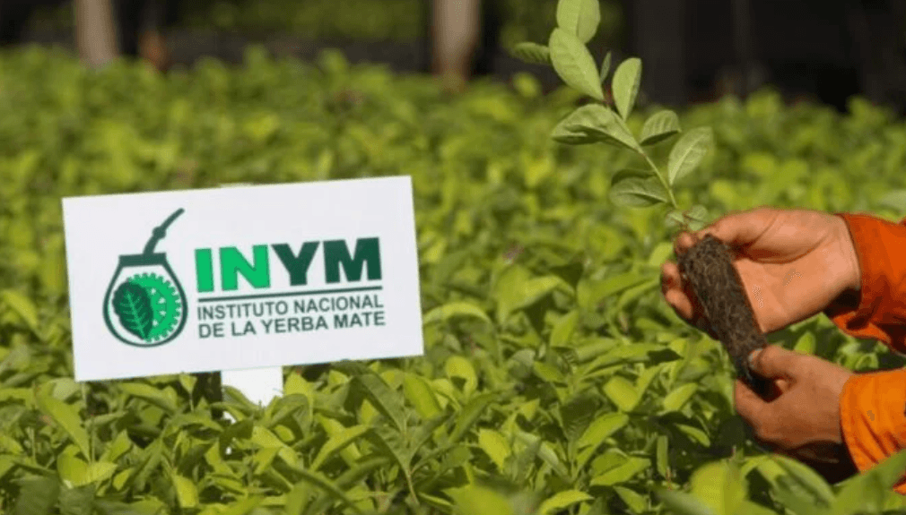 Del otro lado del mostrador: El INYM eligió como auditor a su propio gerente y tuvo que impedirle revisar la gestión en la que intervino