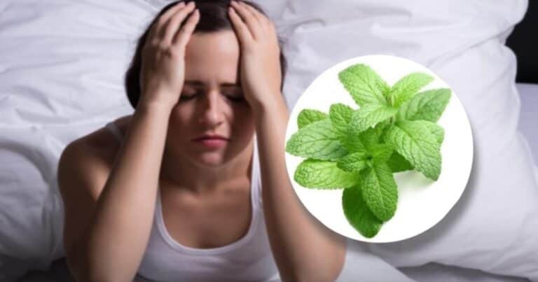Cómo consumir la menta piperita para bajar la ansiedad y combatir el insomnio