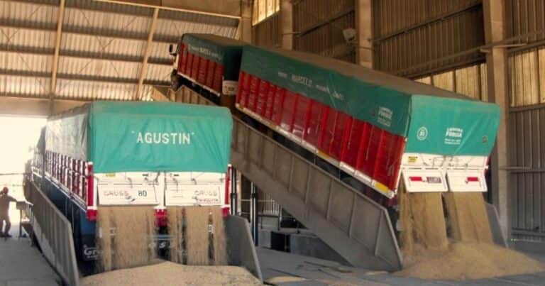 «Milei nos complicó y el cambio es inevitable»: el análisis de un productor decepcionado