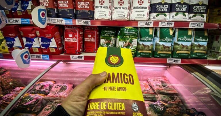 Yerba mate: se derrumbaron las ventas en el mercado interno, pero las exportaciones van camino al récord
