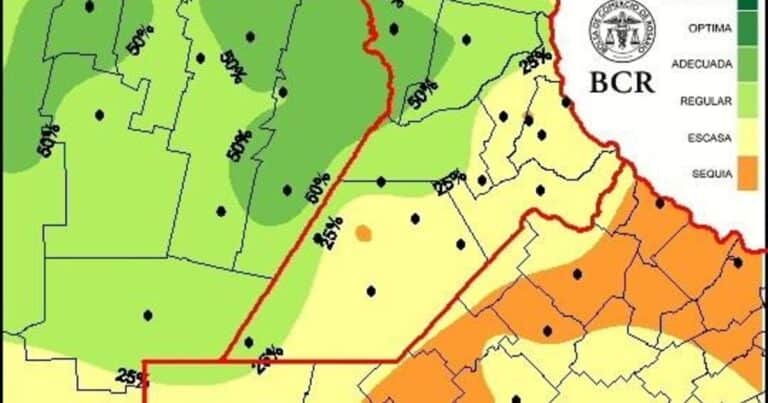Temor a la sequía en el campo: por falta de lluvias, prevén caídas de rinde en la zona más productiva del país