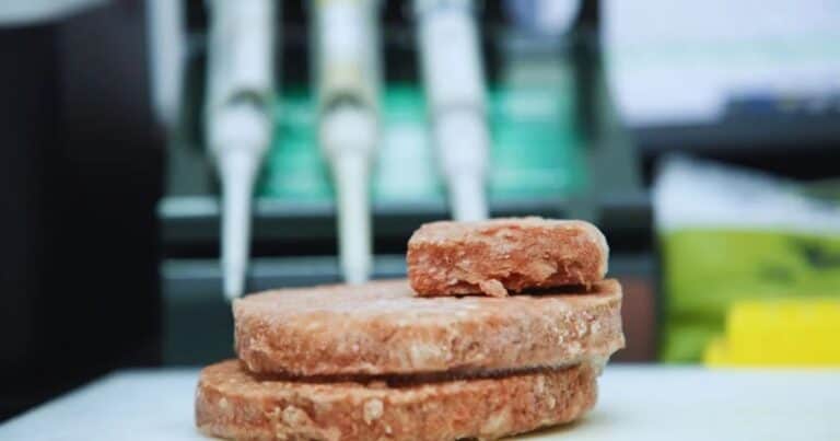Alto contenido de proteínas y bajos niveles de grasa: las hamburguesas que demostraron su alto valor nutricional