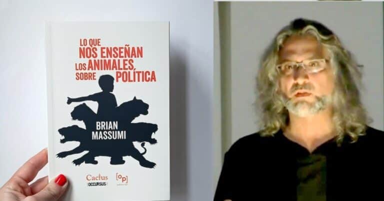 Todo lo que los animales pueden enseñar sobre la sociedad y el poder