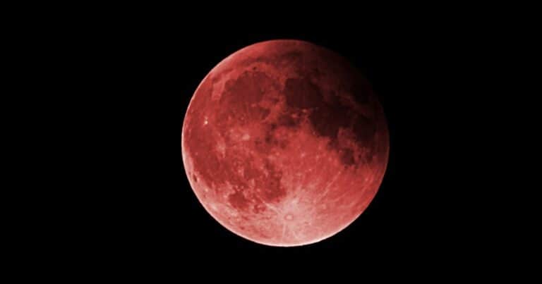 Eclipse lunar total de marzo 2025: cuándo y cómo ver la «Luna de Sangre»
