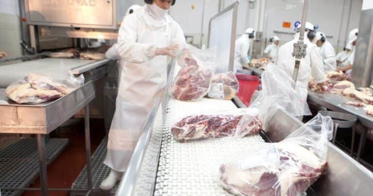 «No es rentable el negocio»: fuerte caída de las exportaciones de uno de los productos más emblemáticos de la Argentina