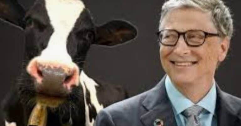 Los Bill Gates de cada día en el debate sobre veganos, ganadería y ambiente