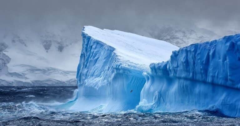 «Efectos catastróficos»: científicos alertan por la corriente oceánica más fuerte del mundo