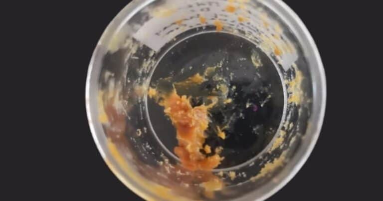 Finalmente identificaron qué es el misterioso «regalo a los dioses» de 2.500 años de antigüedad