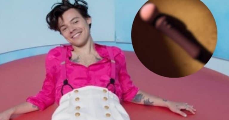 Harry Styles lanza su línea de juguetes sexuales y rompe otro tabú pop