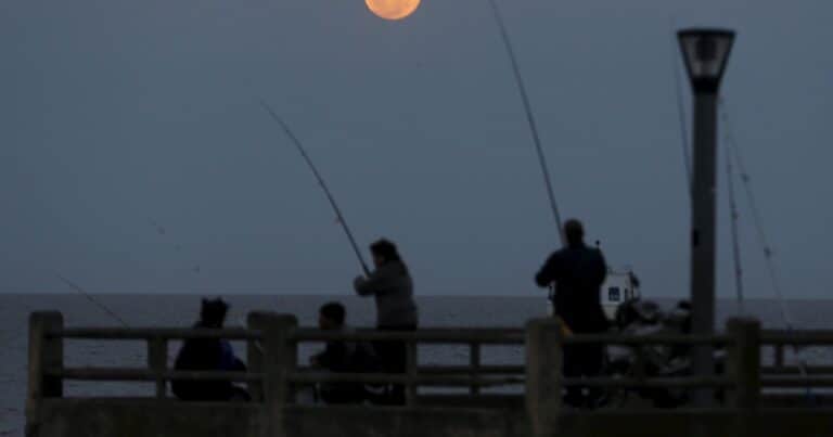 Luna llena este 4 de diciembre: cómo ver y a qué hora es la última Superluna del año