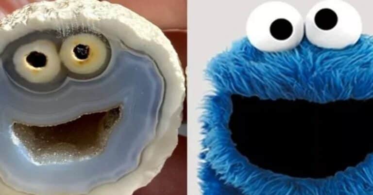 Partió una piedra y dentro encontró a un personaje de Plaza Sésamo