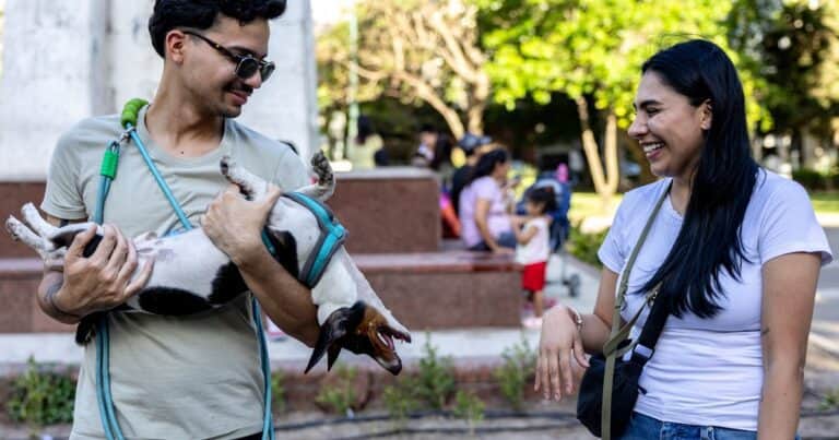 Prepagas para «perrhijos»: una de las principales empresas de salud privada lanza un plan para mascotas