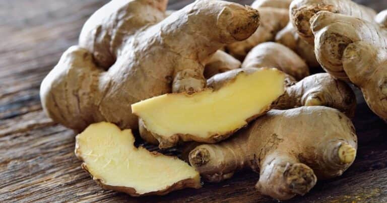 Cómo cultivar jengibre en casa: el truco para que brote rápido en pocos días